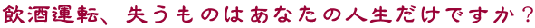 飲酒運転、失うものはあなたの人生だけですか？